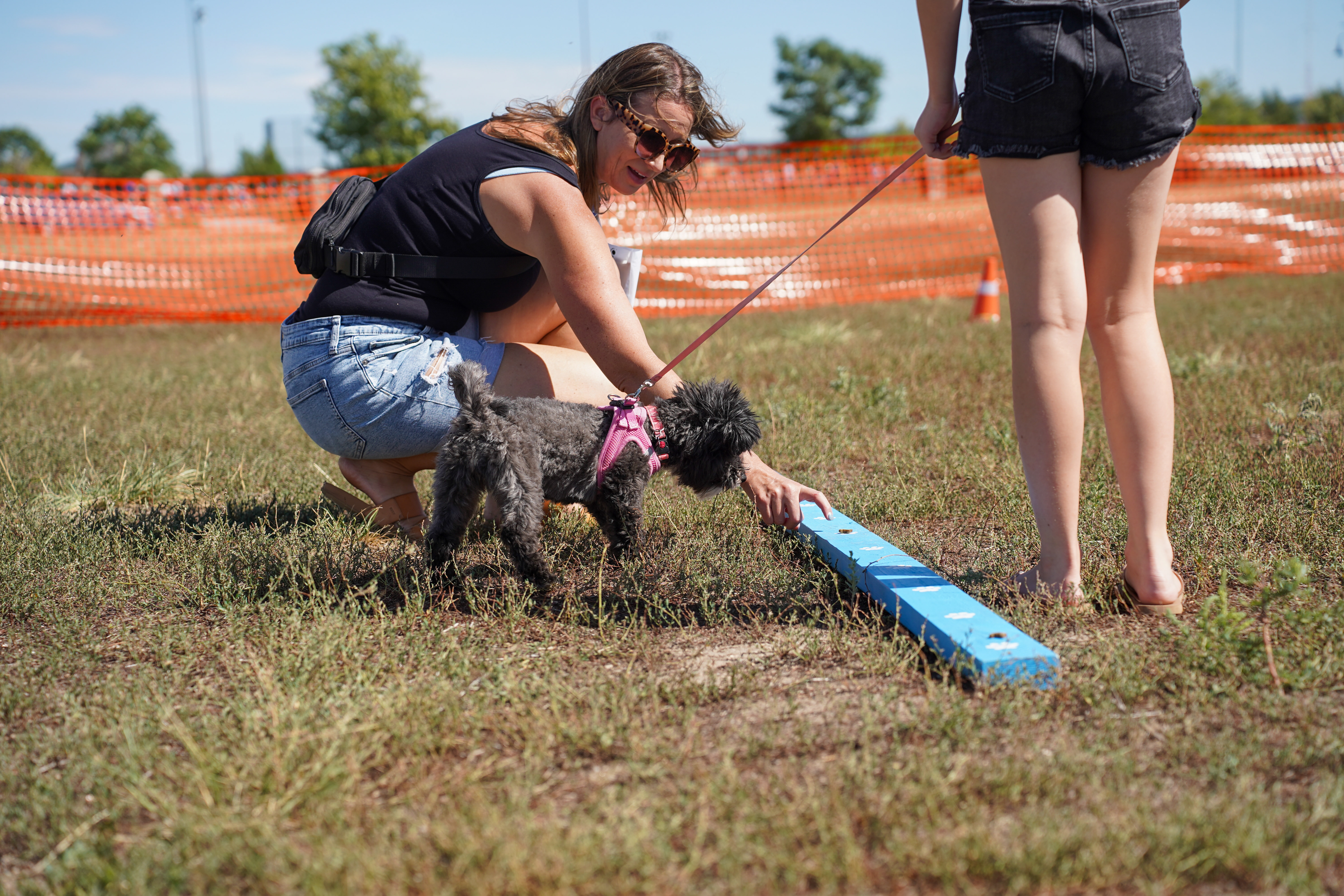Dog Days of Summer 2024 - Pointing demonstration