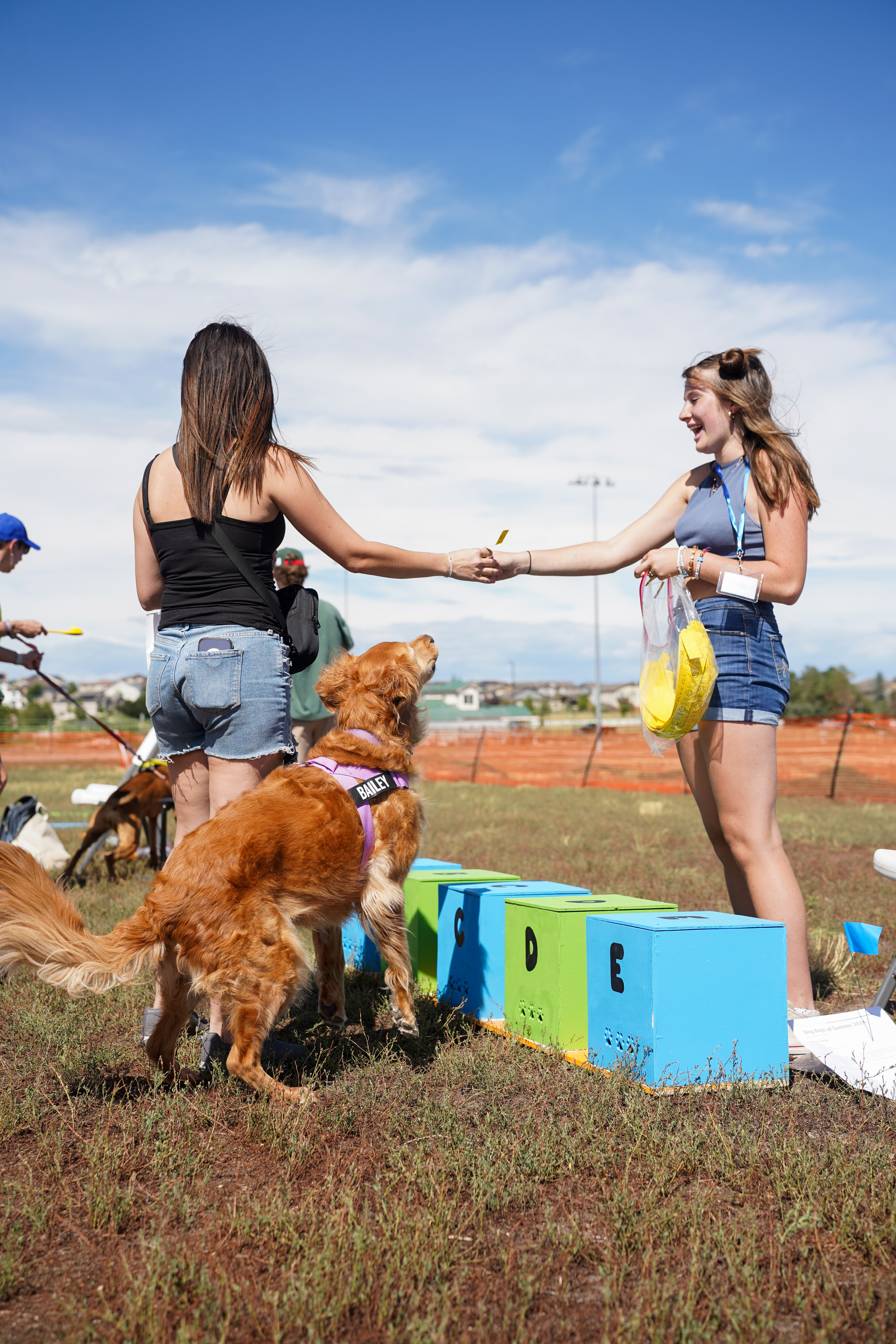Dog Days of Summer 2024 - Sniffing activity