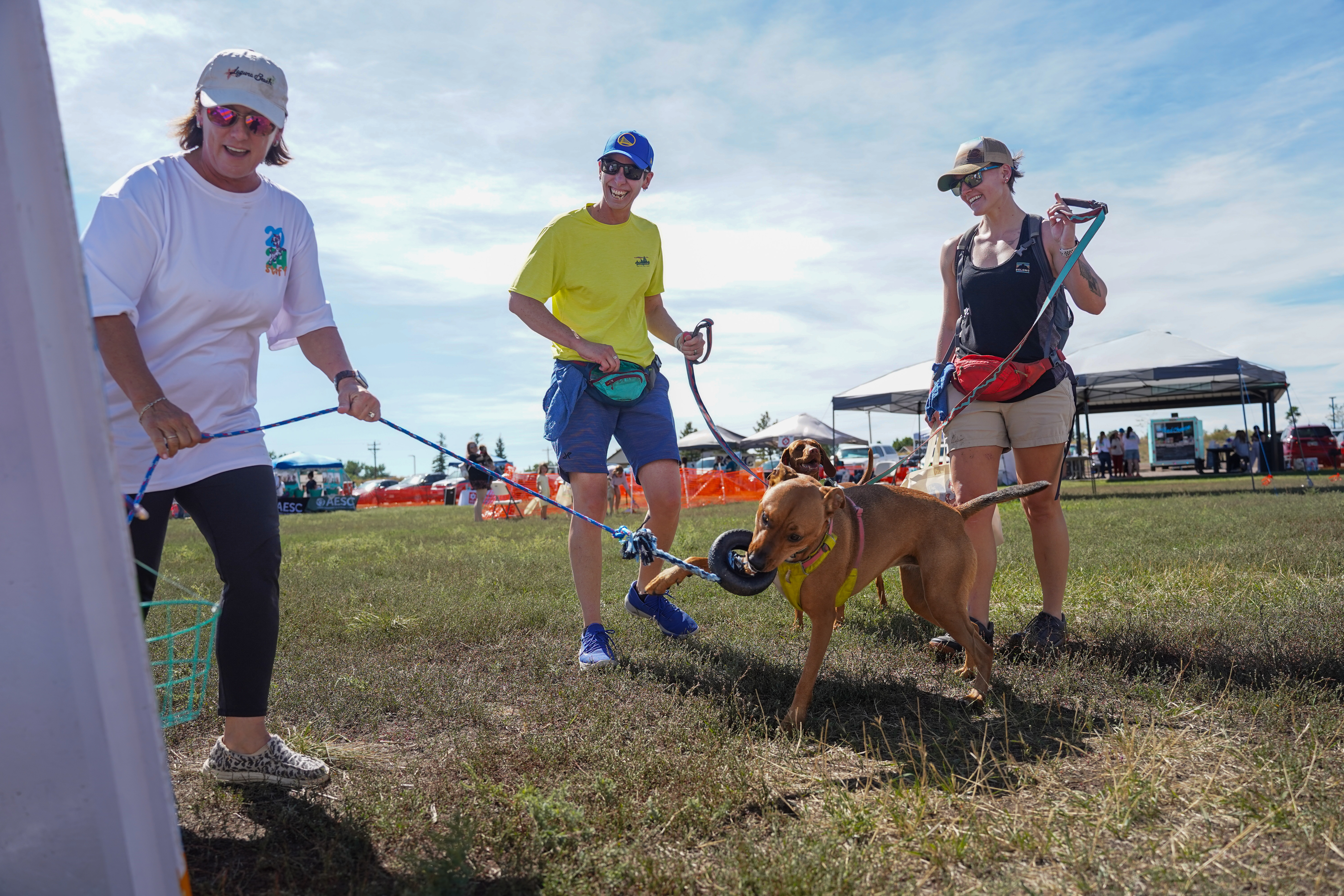 Dog Days of Summer 2024 - Tug of war game